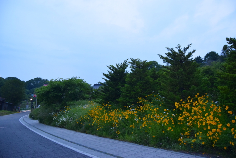 f:id:asa67kin:20170702122430j:image:w640 f:id:asa67kin:20170702122430j:image:w640