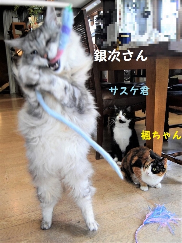 f:id:asa67kin:20180810104512j:image:w460 f:id:asa67kin:20180810104512j:image:w460
