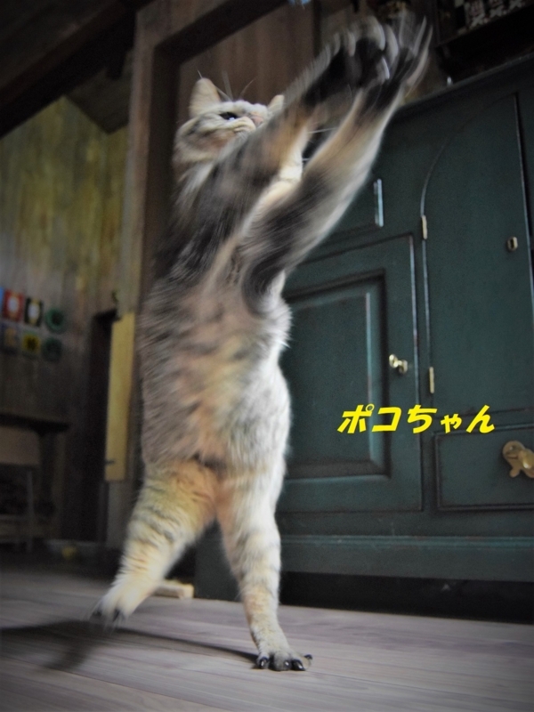 f:id:asa67kin:20180816235845j:image:w460