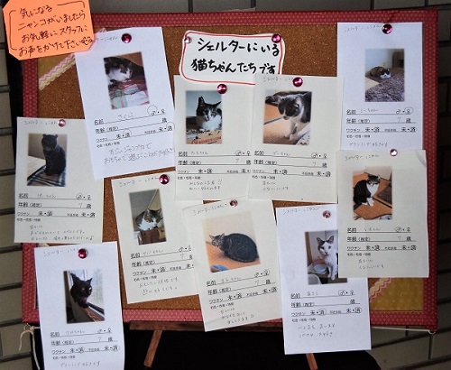 f:id:asa67kin:20190701235928j:plain f:id:asa67kin:20190701235928j:plain