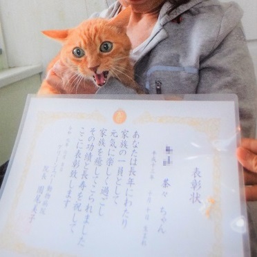 f:id:asa67kin:20190704225952j:plain