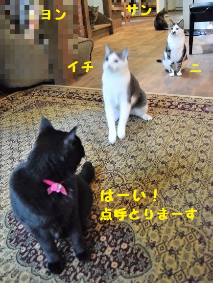 f:id:asa67kin:20190721225718j:plain