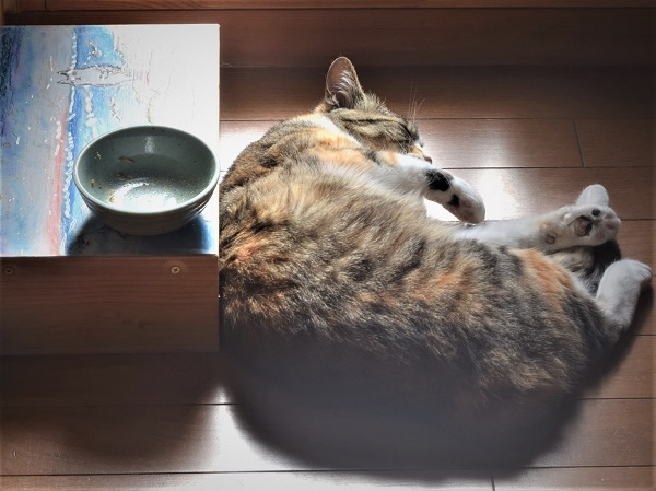 ふて寝 ふき通信