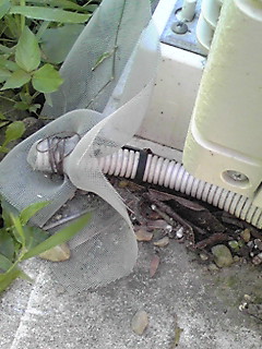 f:id:asabatyou:20110826144113j:image