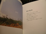 f:id:asacafe:20060705000413j:image f:id:asacafe:20060705000413j:image