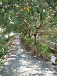 f:id:asacafe:20060923230612j:image