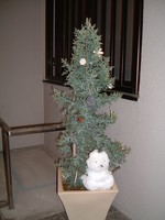 f:id:asacafe:20061118222945j:image f:id:asacafe:20061118222945j:image