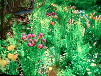 f:id:asacafe:20070130232347j:image f:id:asacafe:20070130232347j:image