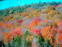 f:id:asacafe:20070130232500j:image f:id:asacafe:20070130232500j:image