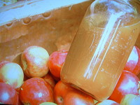 f:id:asacafe:20070130232652j:image f:id:asacafe:20070130232652j:image
