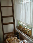 f:id:asacafe:20070621233646j:image f:id:asacafe:20070621233646j:image
