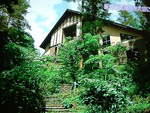 f:id:asacafe:20070701010950j:image f:id:asacafe:20070701010950j:image