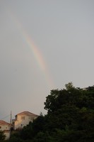 f:id:asacafe:20080605190100j:image:right