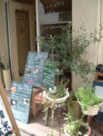 f:id:asacafe:20080830220759j:image