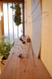 f:id:asacafe:20090319234950j:image