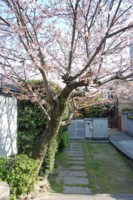 20090401002718