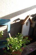 f:id:asacafe:20090513231615j:image f:id:asacafe:20090513231615j:image