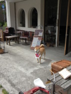 f:id:asacafe:20090522112452j:image