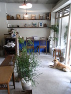 f:id:asacafe:20090522115914j:image:right