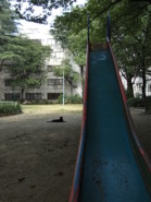 f:id:asacafe:20090813114044j:image