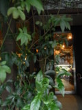 f:id:asacafe:20090813233004j:image