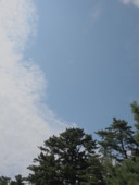 f:id:asacafe:20090818003352j:image:left