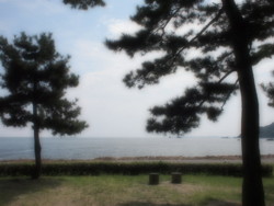 f:id:asacafe:20090818003853j:image