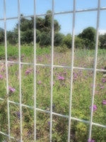 f:id:asacafe:20090818013909j:image