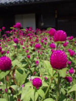 f:id:asacafe:20090818013919j:image