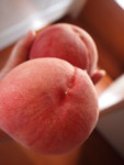 f:id:asacafe:20090915002649j:image:right
