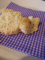 f:id:asacafe:20091013204410j:image:right f:id:asacafe:20091013204410j:image:right
