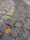 f:id:asacafe:20091023011446j:image:left