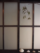 20100329234937