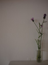 f:id:asacafe:20100615013340j:image f:id:asacafe:20100615013340j:image