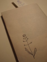 f:id:asacafe:20100615013342j:image f:id:asacafe:20100615013342j:image