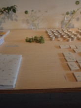 f:id:asacafe:20110212014222j:image f:id:asacafe:20110212014222j:image