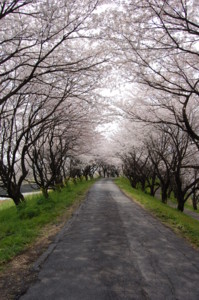 20110412011224