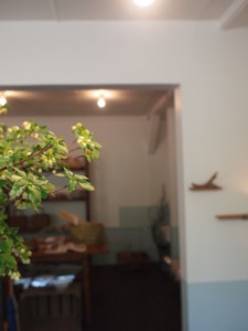 f:id:asacafe:20110516052545j:image