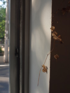 f:id:asacafe:20110516053247j:image