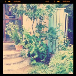f:id:asacafe:20110806002909j:image:left