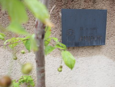 f:id:asacafe:20110806010449j:image