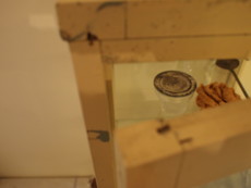f:id:asacafe:20110806010452j:image