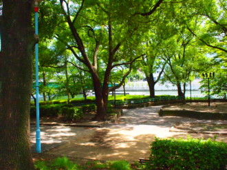 f:id:asacafe:20110807235444j:image
