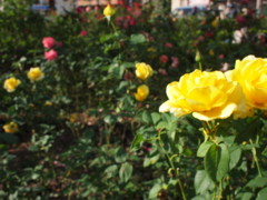 f:id:asacafe:20111027000849j:image