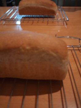 f:id:asacafe:20111027001812j:image