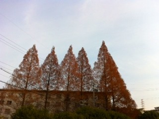 f:id:asacafe:20111223052439j:image