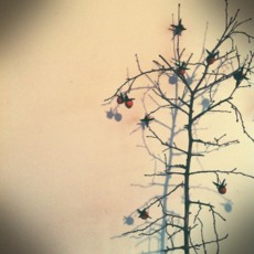 f:id:asacafe:20111223054557j:image