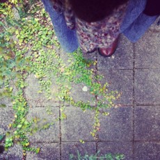 f:id:asacafe:20111223054558j:image