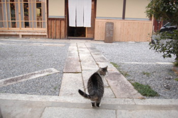 f:id:asacafe:20120116210304j:image:right