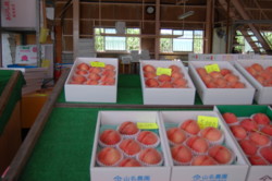 f:id:asacafe:20120828192430j:image:left